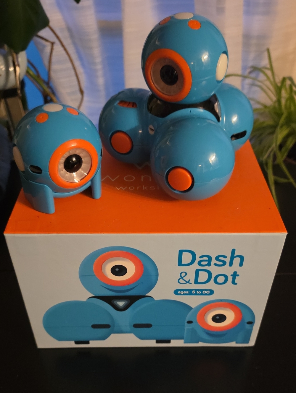 Dot& Dash Blue Coding Robot Set for Kids - Interactive STEM Toy
